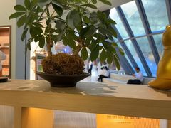 -长风拨筋养身(金虹桥店)