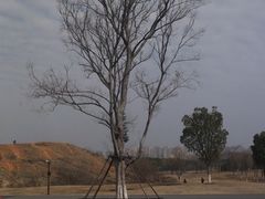 -盘龙城国家考古遗址公园