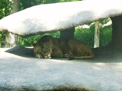 -北京野生动物园