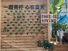 -THE CUT Rooftop顶楼牛排餐吧(环贸iapm店)