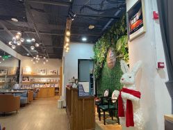 -小熊维尼高端儿童摄影(南山店)