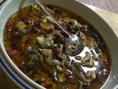 沸腾江团鱼-沸腾鱼家(大尧三路店)