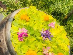 -四季酒店下午茶