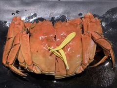 -聚味瞿记·龙虾堂(望城店)