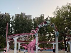 -张店儿童公园