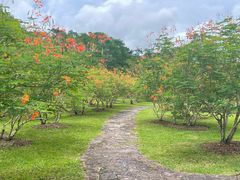 -中国科学院西双版纳热带植物园