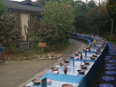 柴火鸡-谌家院子