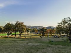 -羊山湖公园