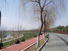 -洨河生态公园