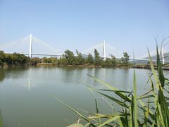 -芒洲湿地公园