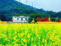 -光明小镇欢乐田园