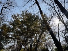-北岭山森林公园