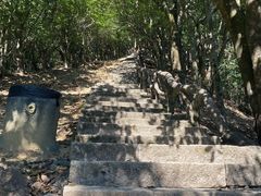 -梧桐山风景名胜区