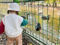 -长白岛森林公园