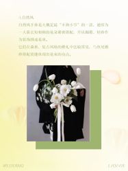 点击看大图 -琥珀婚礼策划AMBER WEDDING