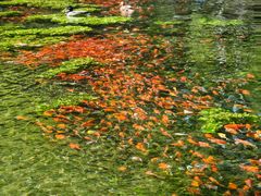 -水磨沟公园