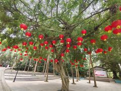 -北海市海滨公园