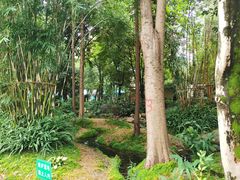 -成都市活水公园