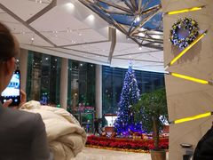 -成都世纪城假日酒店-西楼