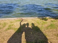 -阳澄湖半岛旅游度假区