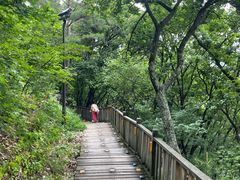 -帽儿山国家森林公园