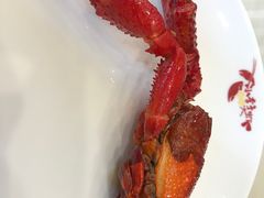 -小李子油焖大虾(天下城旗舰店)