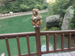 -山西通天峡景区