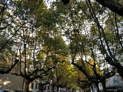 -四川农业大学(雅安校区)