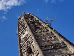 -上海佘山国家森林公园天马山园