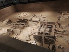 -洛阳周王城天子驾六博物馆