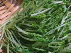 -捞王锅物料理(温州万象城店)