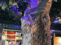 -血站大盘鸡(建设店)