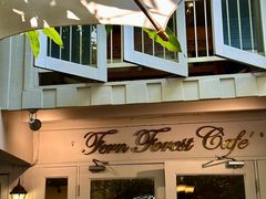-Fern Forest Cafe