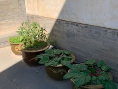 -梁思成纪念馆