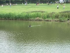 -牛岗山公园