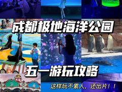 -海合安成都极地海洋公园