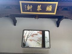 -虎跑公园