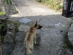 -林坑古村落
