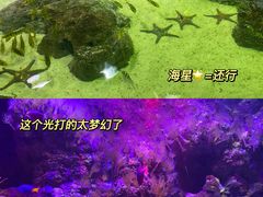 -郑州海洋馆