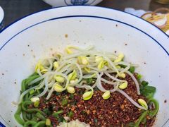 -老杨家·手擀菠菜面