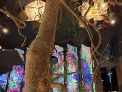 -桂满陇·海市蜃楼·黑金(国金店)