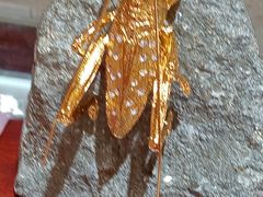 -黄金博物馆