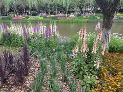 -上海鲜花港