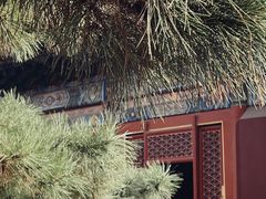 -雍和宫