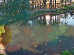 -四海公园(南山区)