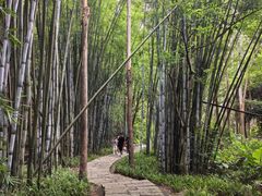 -黄埔油麻山森林公园