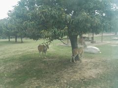 -西安秦岭野生动物园