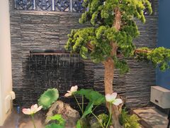 -大榕树下顺德菜(融创茂店)