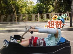 -圣淘沙天际线斜坡滑车