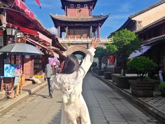 -巍山古城